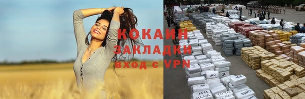 apvp Няндома