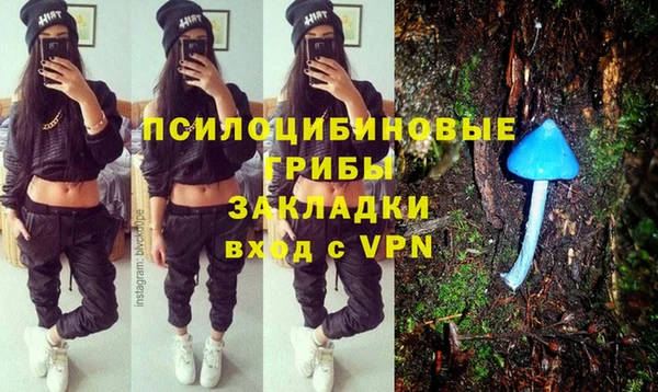 мескалин Нязепетровск