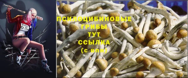 apvp Няндома
