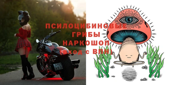 apvp Няндома